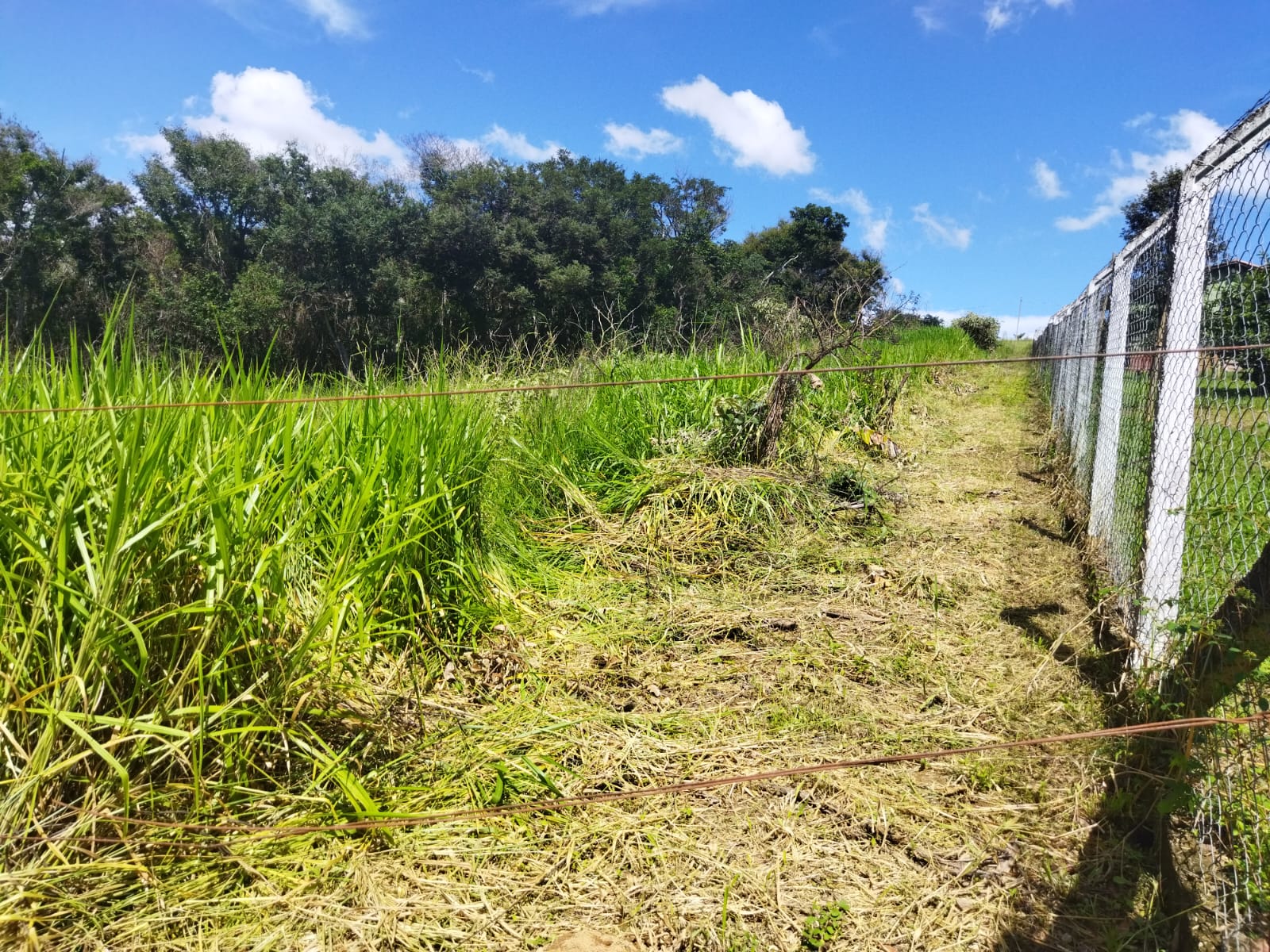 Terreno para Chácara no Galheiro
